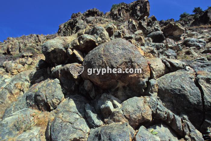 Pillow-lavas (Chenaillet) - gryphea.com